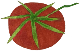 Stop and Grow logo text